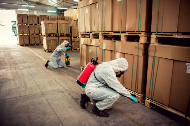 Best Commercial Pest Control Services  in Waveland, MS