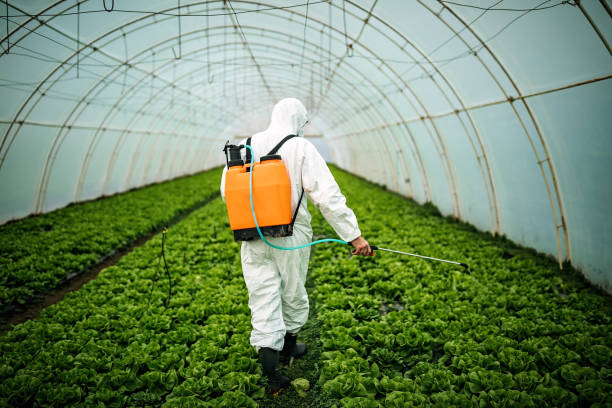 Best Pest Inspection Near Me  in Waveland, MS