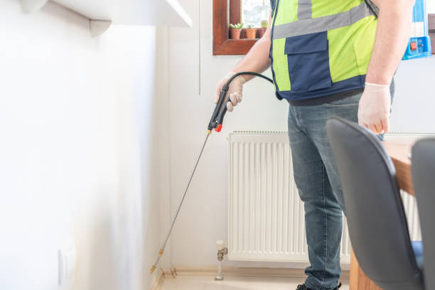 Pest Prevention Services in Waveland, MS