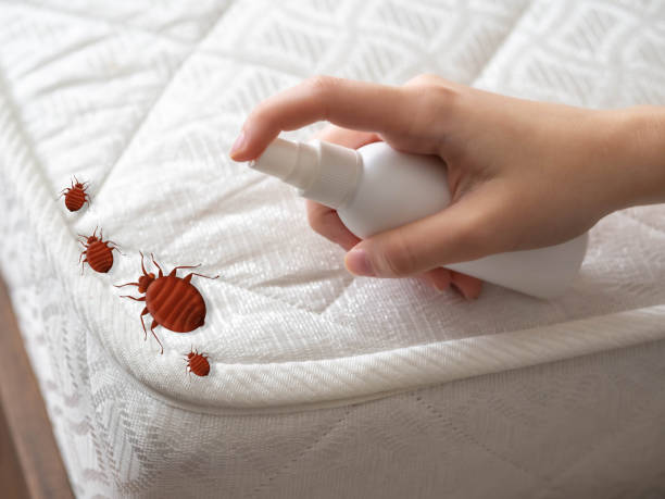 Best Cockroach Control Services  in Waveland, MS