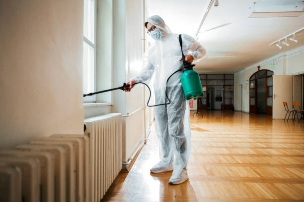 Best Affordable Pest Control Services  in Waveland, MS